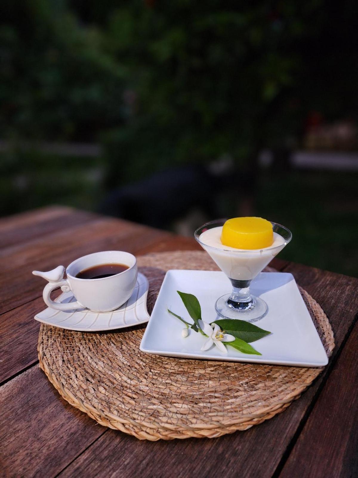 Portalimo Lodge Hotel - Adult Only +12 Cirali Bagian luar foto