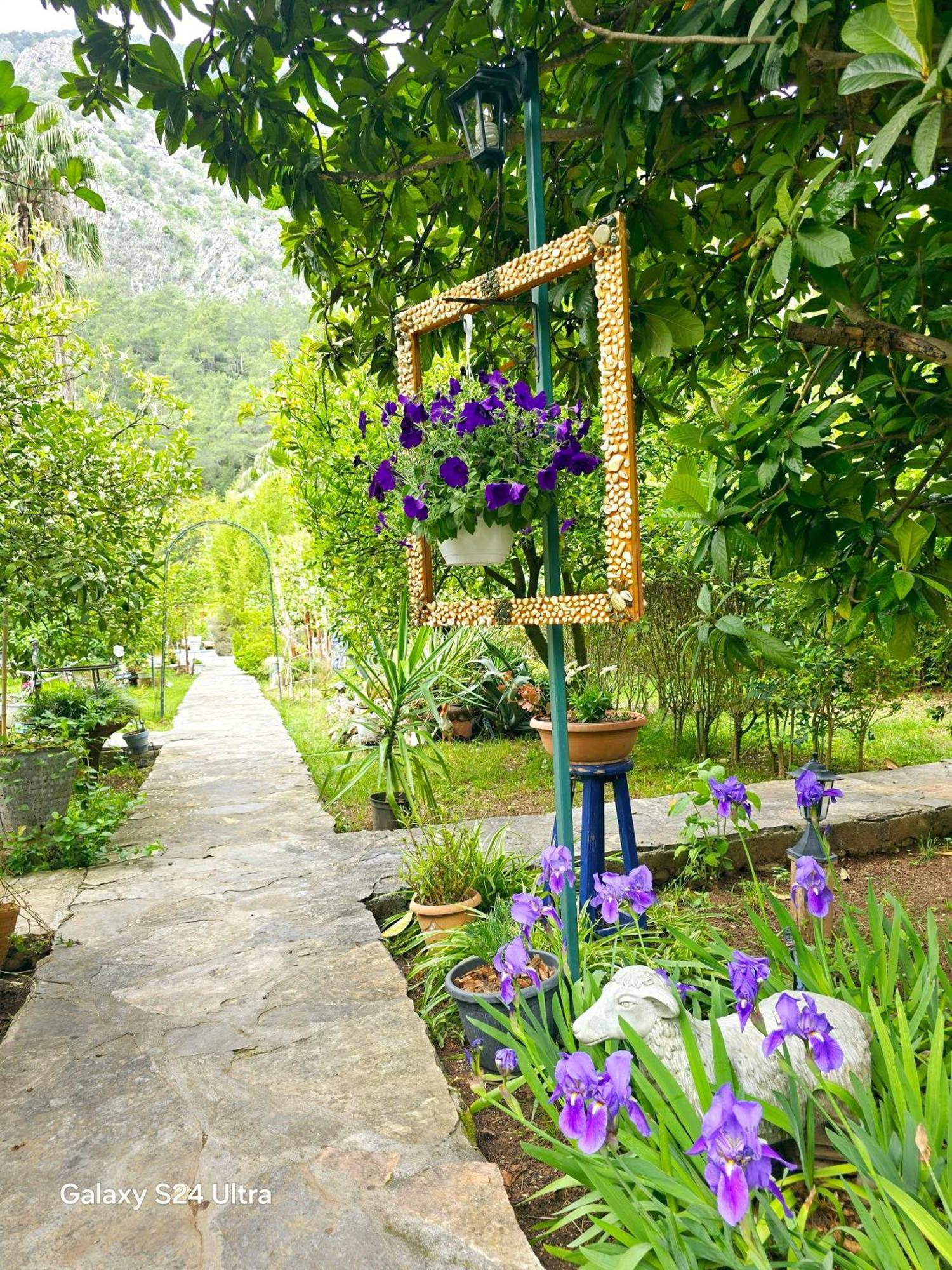 Portalimo Lodge Hotel - Adult Only +12 Cirali Bagian luar foto