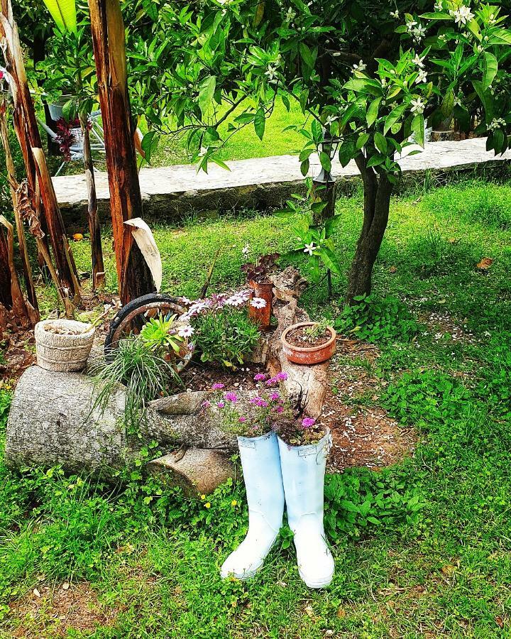 Portalimo Lodge Hotel - Adult Only +12 Cirali Bagian luar foto